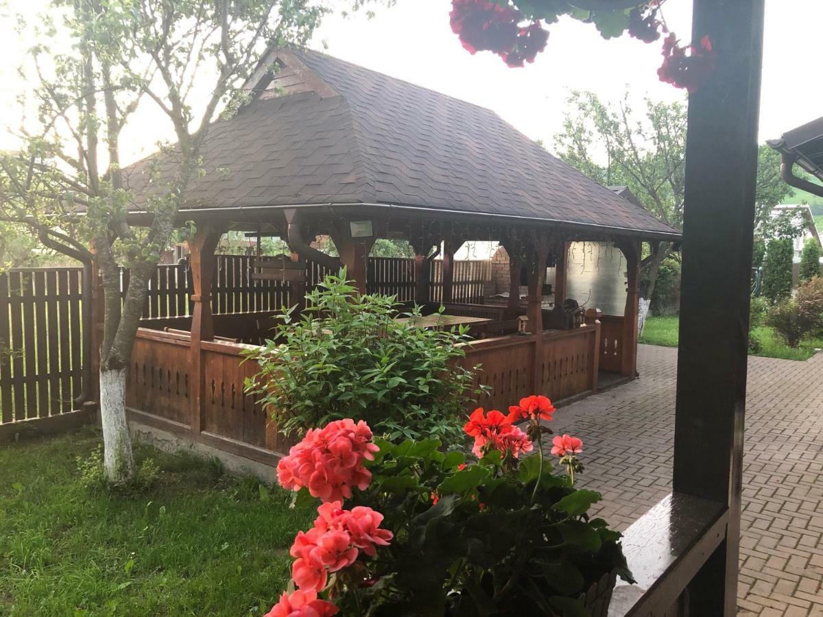 Pensiunea Galileo Borşa Zewnętrze zdjęcie